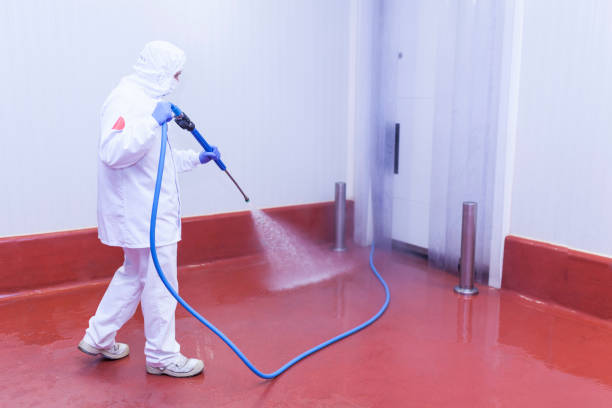 Reliable Shawneetown, IL Pressure Washing Services Solutions